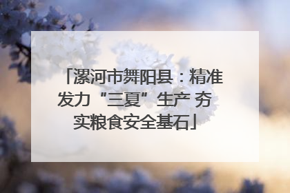 漯河市舞阳县：精准发力“三夏”生产 夯实粮食安全基石