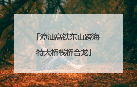 漳汕高铁东山跨海特大桥栈桥合龙