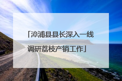 漳浦县县长深入一线调研荔枝产销工作