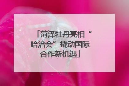 菏泽牡丹亮相“哈洽会”撬动国际合作新机遇