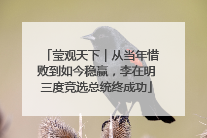 莹观天下｜从当年惜败到如今稳赢，李在明三度竞选总统终成功
