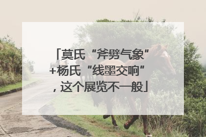 莫氏“斧劈气象”+杨氏“线墨交响”，这个展览不一般