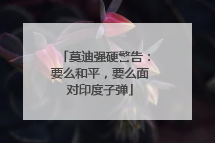 莫迪强硬警告：要么和平，要么面对印度子弹