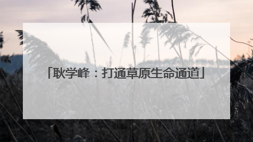 耿学峰：打通草原生命通道