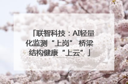 联智科技：AI轻量化监测“上岗” 桥梁结构健康“上云”