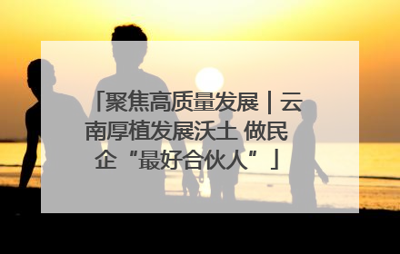聚焦高质量发展｜云南厚植发展沃土 做民企“最好合伙人”