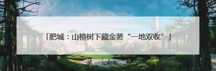 肥城：山楂树下藏金薯“一地双收”