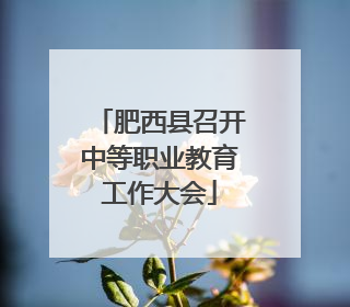 肥西县召开中等职业教育工作大会
