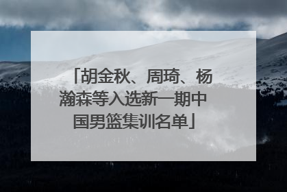 胡金秋、周琦、杨瀚森等入选新一期中国男篮集训名单