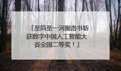 至简至一河图洛书斩获数字中国人工智能大赛全国二等奖！