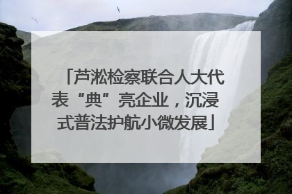 芦淞检察联合人大代表“典”亮企业，沉浸式普法护航小微发展