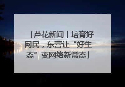 芦花新闻丨培育好网民，东营让“好生态”变网络新常态