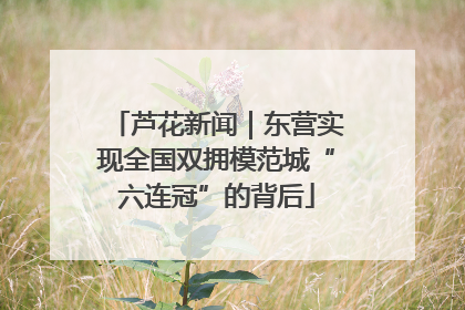 芦花新闻｜东营实现全国双拥模范城“六连冠”的背后