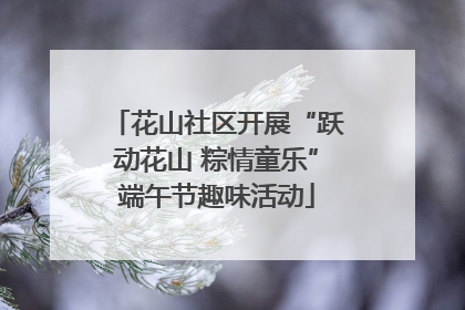 花山社区开展“跃动花山 粽情童乐”端午节趣味活动