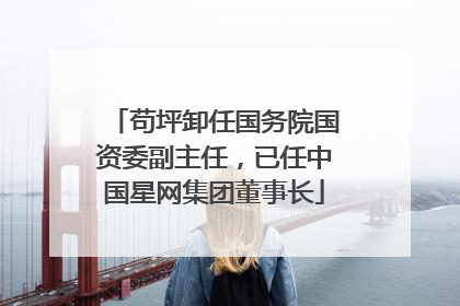 苟坪卸任国务院国资委副主任，已任中国星网集团董事长