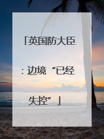 英国防大臣：边境“已经失控”