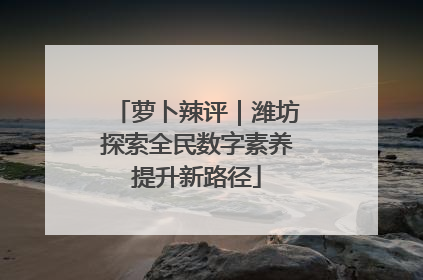 萝卜辣评｜潍坊探索全民数字素养提升新路径