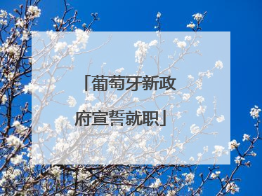 葡萄牙新政府宣誓就职