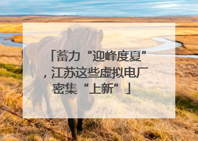 蓄力“迎峰度夏”，江苏这些虚拟电厂密集“上新”