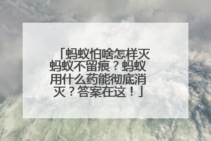 蚂蚁怕啥怎样灭蚂蚁不留痕？蚂蚁用什么药能彻底消灭？答案在这！