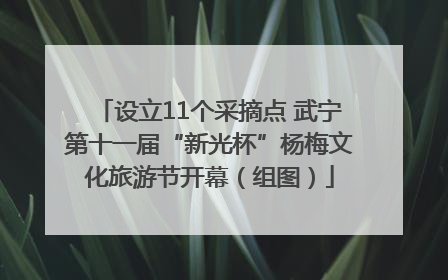 设立11个采摘点 武宁第十一届“新光杯”杨梅文化旅游节开幕（组图）