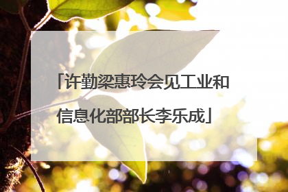 许勤梁惠玲会见工业和信息化部部长李乐成
