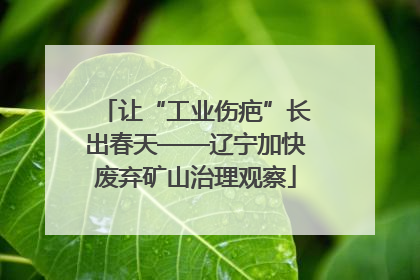 让“工业伤疤”长出春天——辽宁加快废弃矿山治理观察