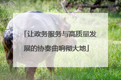 让政务服务与高质量发展的协奏曲响彻大地