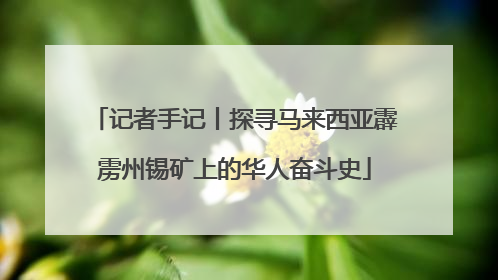 记者手记丨探寻马来西亚霹雳州锡矿上的华人奋斗史