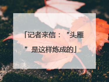 记者来信：“头雁”是这样炼成的