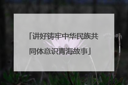 讲好铸牢中华民族共同体意识青海故事