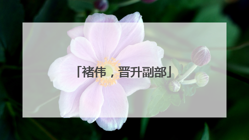 褚伟，晋升副部