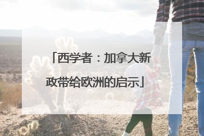 西学者：加拿大新政带给欧洲的启示