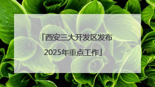 西安三大开发区发布2025年重点工作