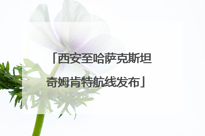 西安至哈萨克斯坦奇姆肯特航线发布