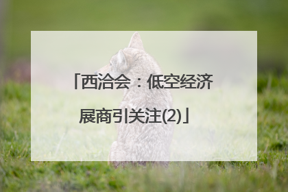 西洽会：低空经济展商引关注(2)