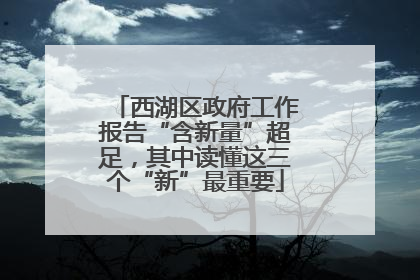 西湖区政府工作报告“含新量”超足，其中读懂这三个“新”最重要