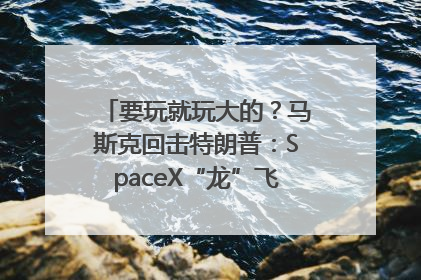 要玩就玩大的？马斯克回击特朗普：SpaceX“龙”飞船将立即退役！