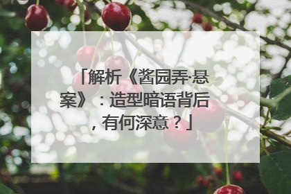 解析《酱园弄·悬案》：造型暗语背后，有何深意？