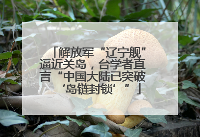 解放军“辽宁舰”逼近关岛，台学者直言“中国大陆已突破‘岛链封锁’”
