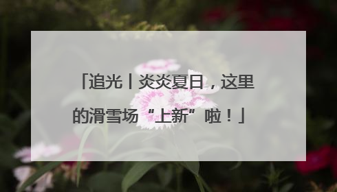 追光丨炎炎夏日，这里的滑雪场“上新”啦！