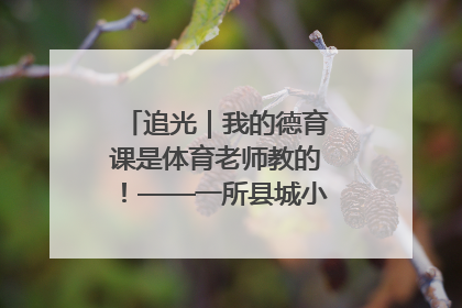 追光｜我的德育课是体育老师教的！——一所县城小学的思政课改革