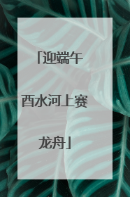 迎端午 酉水河上赛龙舟