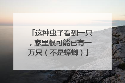 这种虫子看到一只，家里很可能已有一万只（不是蟑螂）