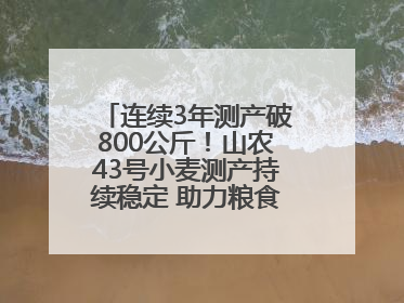 连续3年测产破800公斤！山农43号小麦测产持续稳定 助力粮食增产丰收