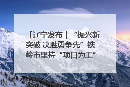 辽宁发布｜“振兴新突破 决胜勇争先”铁岭市坚持“项目为王”推进经济高质量发展