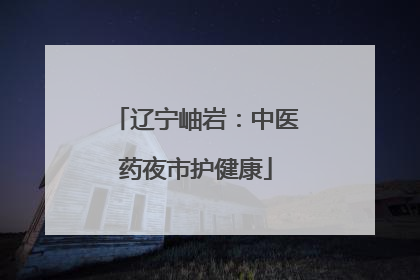 辽宁岫岩：中医药夜市护健康