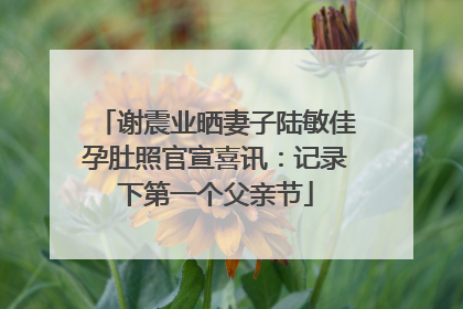 谢震业晒妻子陆敏佳孕肚照官宣喜讯：记录下第一个父亲节