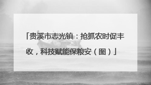 贵溪市志光镇：抢抓农时促丰收，科技赋能保粮安（图）