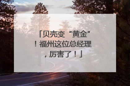 贝壳变“黄金”！福州这位总经理，厉害了！